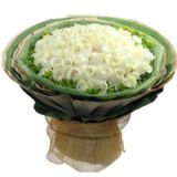 Ϲʻٵ