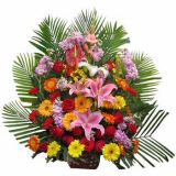 Ϲʻٵ