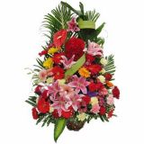 Ϲʻٵ
