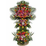 Ϲʻٵ
